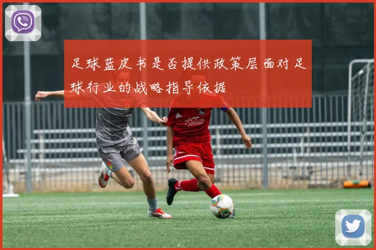 足球蓝皮书是否提供政策层面对足球行业的战略指导依据
