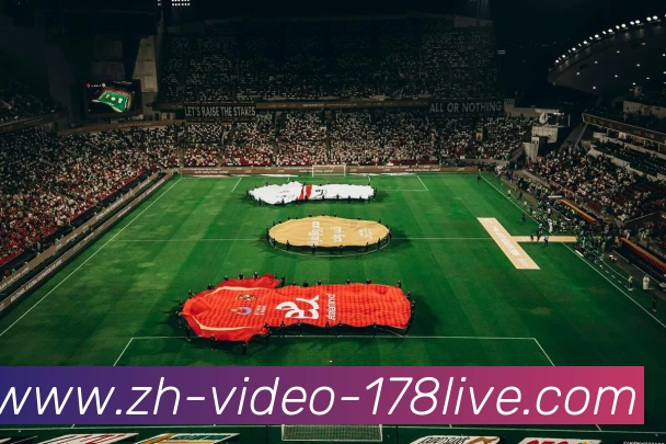 178体育直播平台生态图